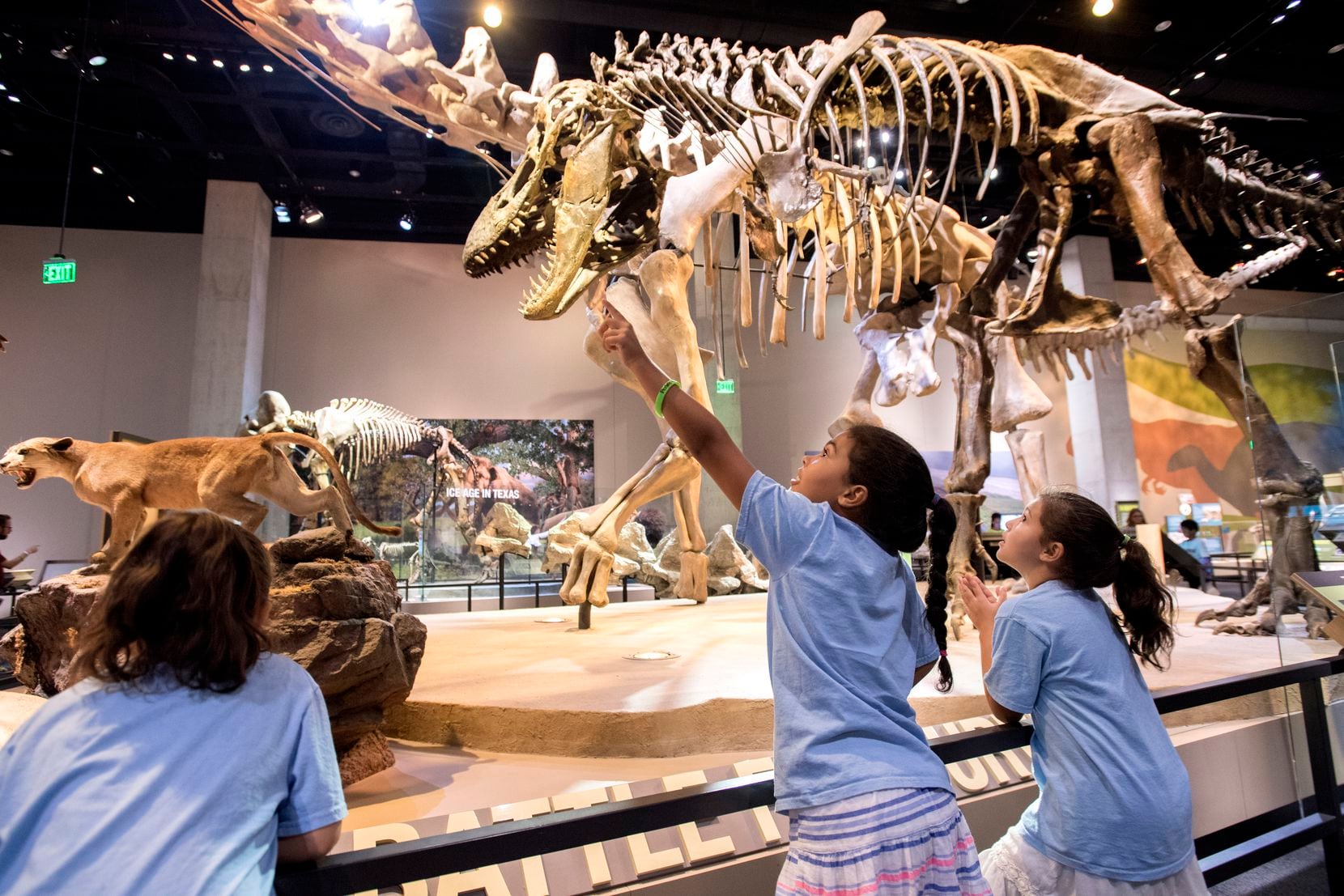 Amelia Pancoast, 9, center, points out dinosaur skeletons to her sisters during the Snore...
