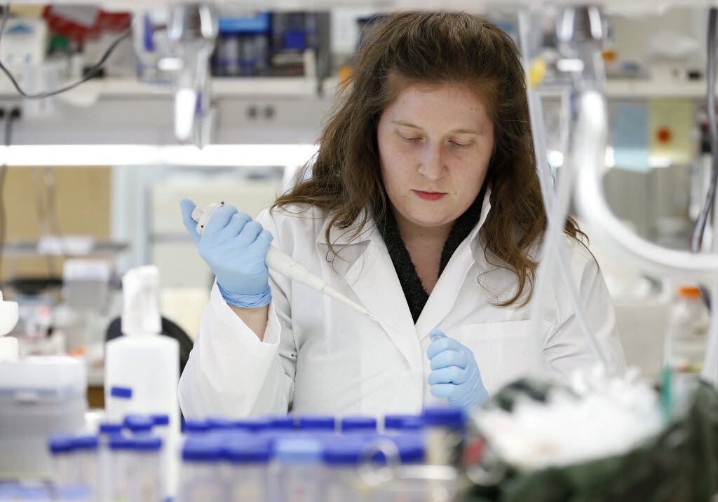 Rebecca Burgess, a post doctoral researcher, works in the Hamon Laboratory for Stem Cell and Cancer Biology at the Children's Medical Center Research Institute at UT Southwestern on Feb. 24, 2016.