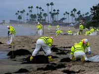 Workers in protective suits clean the contaminated beach in Corona Del Mar after an oil...