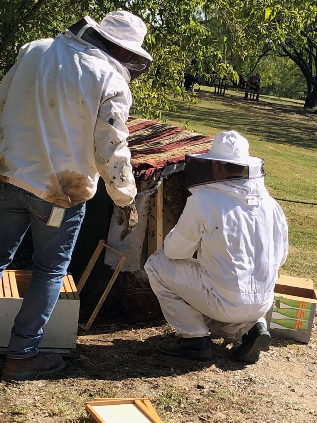 An Irving firefighter and landfill manager saved thousands of bees from an abandoned sofa. 