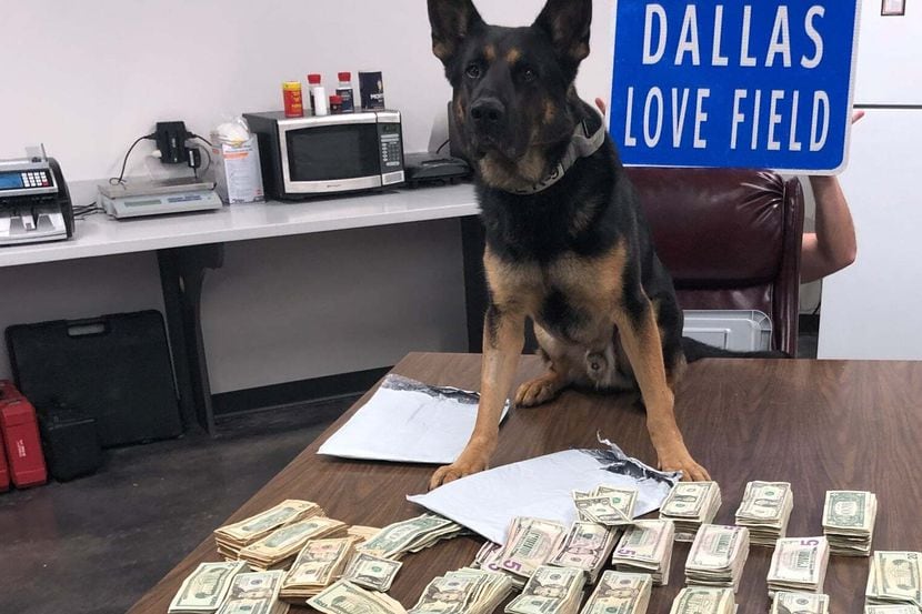 La policía de Dallas, con la ayuda del agente canino Ballentine, confiscó más de $100,000 a...