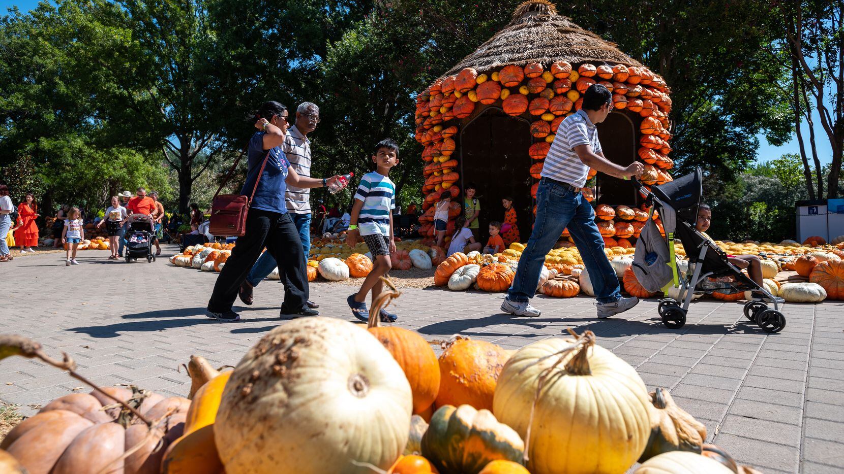 El Dallas Arboretum se viste de otoño con una villa de calabazas hasta el 31 de octubre.