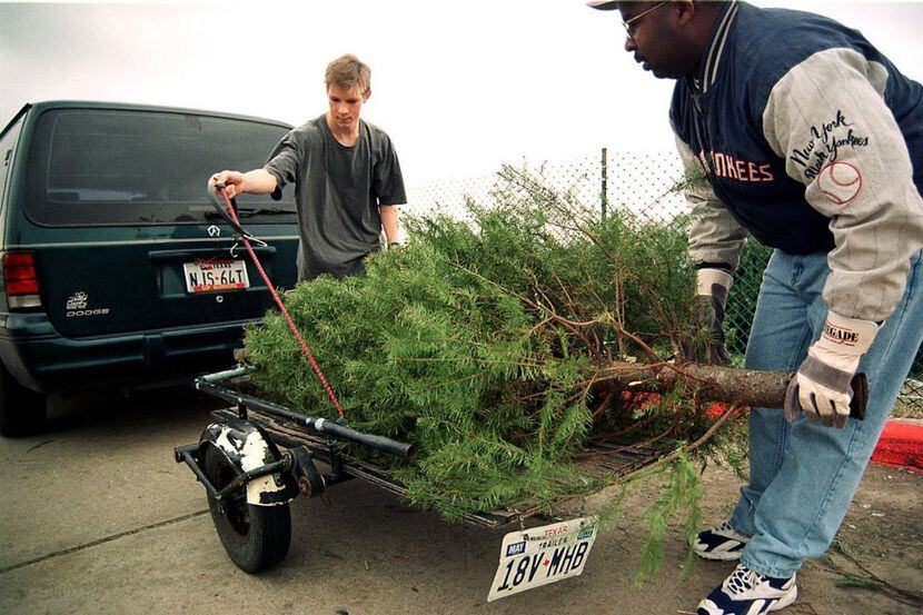 David Alexander y John Palsky bajan un árbol de navidad en un centro de reciclaje en Grand...