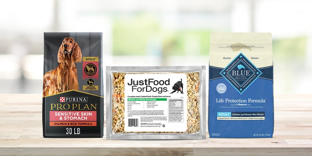 5 Brands to Keep Your Pup in Top Shape This Year