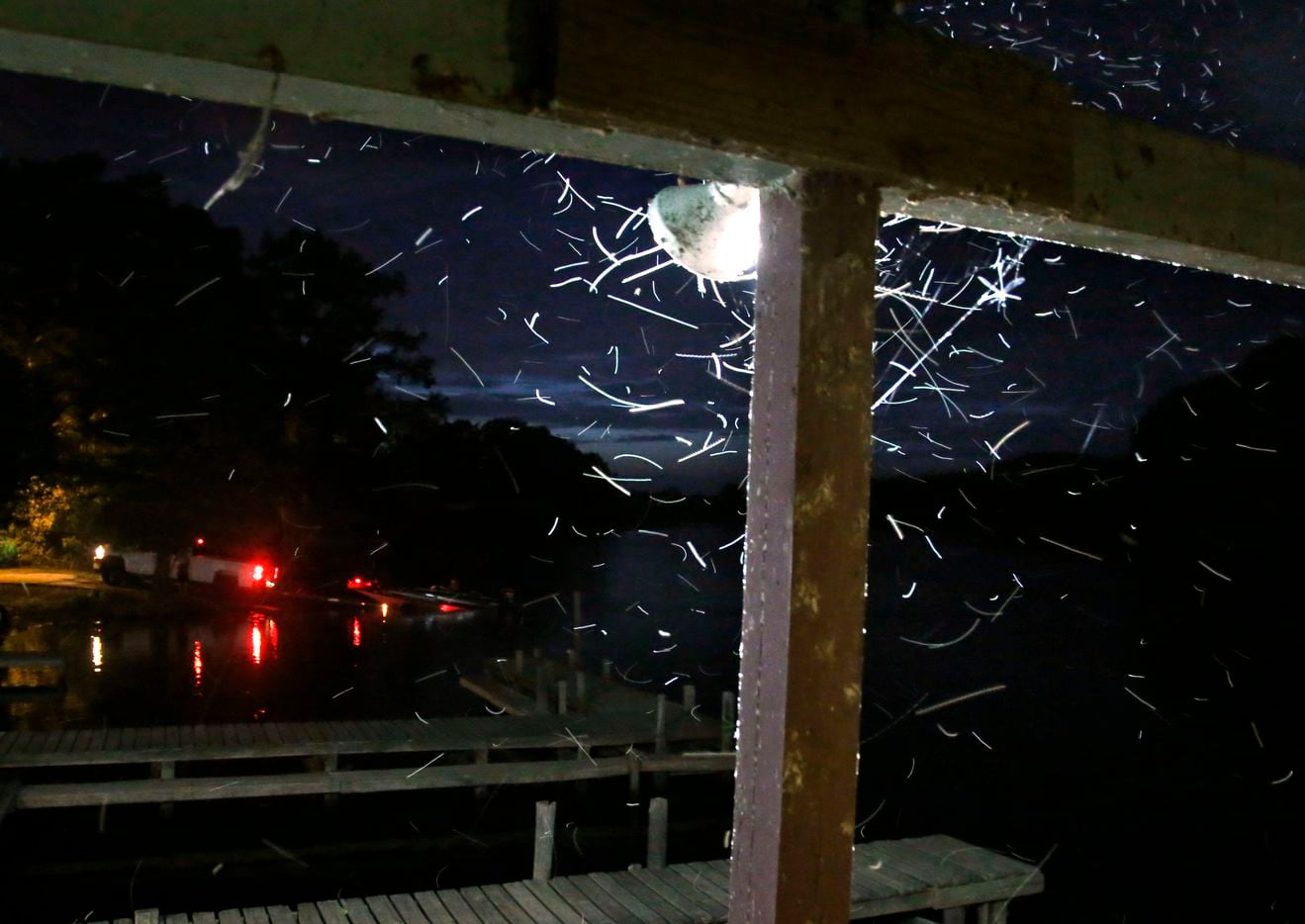 Flying insects swarm around a light on the dock at Johnson's Ranch in Uncertain, Texas as a...