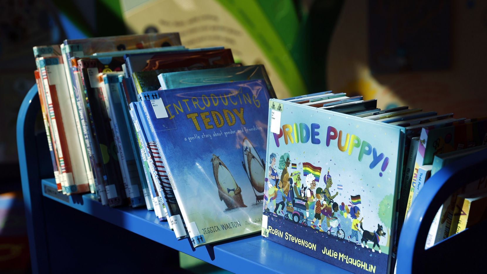 Children’s books related to LGBTQ at the George W. Hawkes Downtown Library in Arlington...