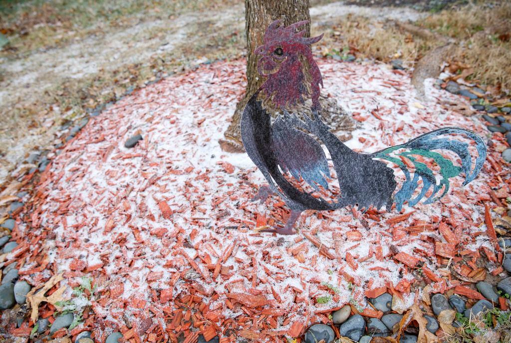 A wintry mix of ice and snow starts to stick to the ground in McKinney, Texas Saturday...