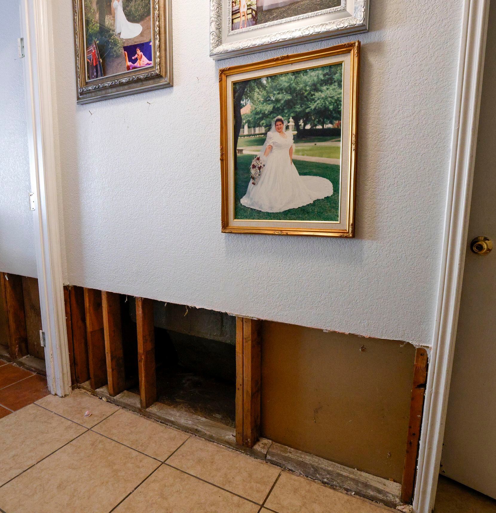 Family wedding photos hang above drywall that has been removed throughout Delores Lopez's...