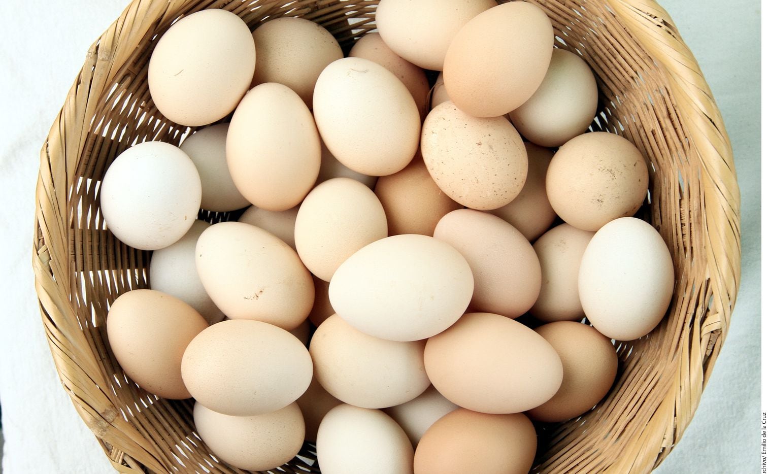 Cual Es La Diferencia Entre Los Huevos Organicos Y De Libre Pastoreo