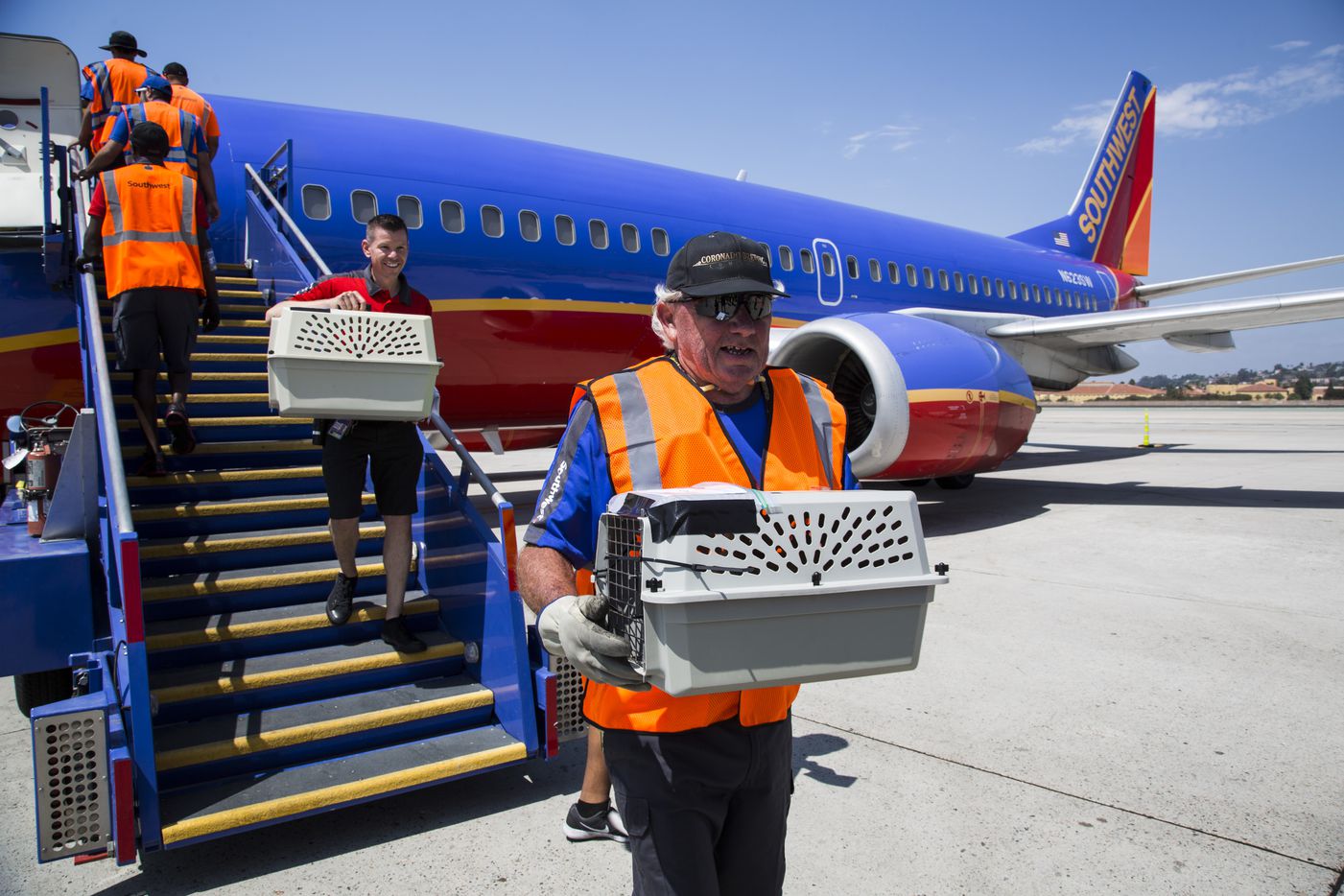 Southwest Airlines teamed up with the Helen Woodward Animal Center to transport 64 animals...