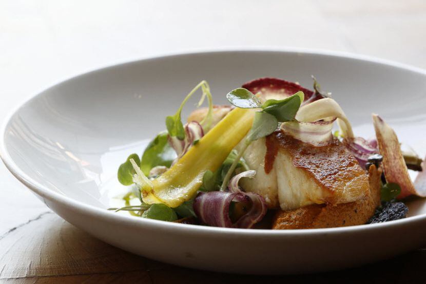 Here's chef Richard Blankenship's roasted gulf catch at CBD Provisions in Dallas.