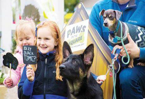 Un festival con todo para las mascotas se desarrollará en Carrollton este sábado.