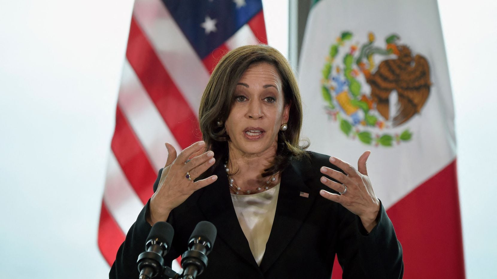 Vice President Kamala Harris speaks during a press conference in Mexico City, on June 8,...
