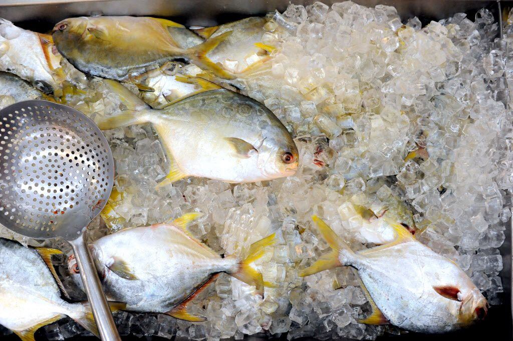 The fresh fish section features Golden Pompret at Hong Kong Market in Dallas, TX on July 30,...