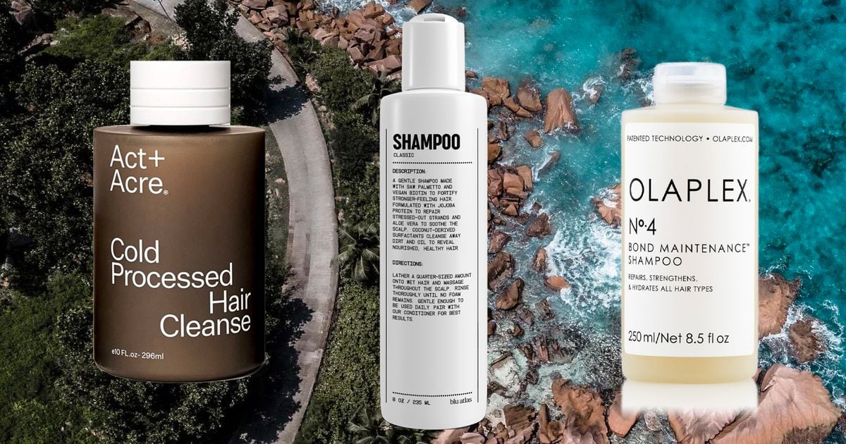 16 Best Shampoos in