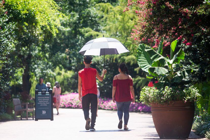 The Dallas Arboretum is offering a bargain: Its August Dollar Days promotion features...