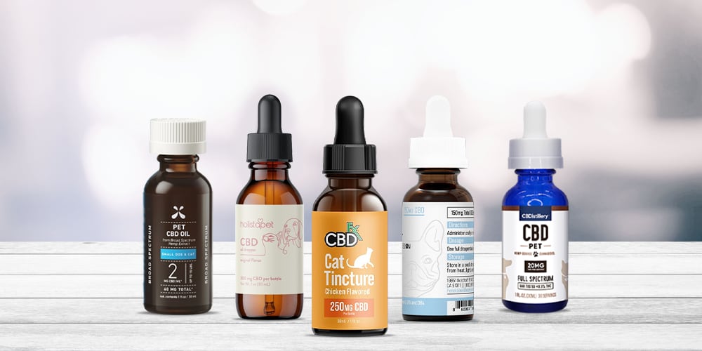 5 Best CBD Oils To Treat Inflammation, Pain & Anxiety