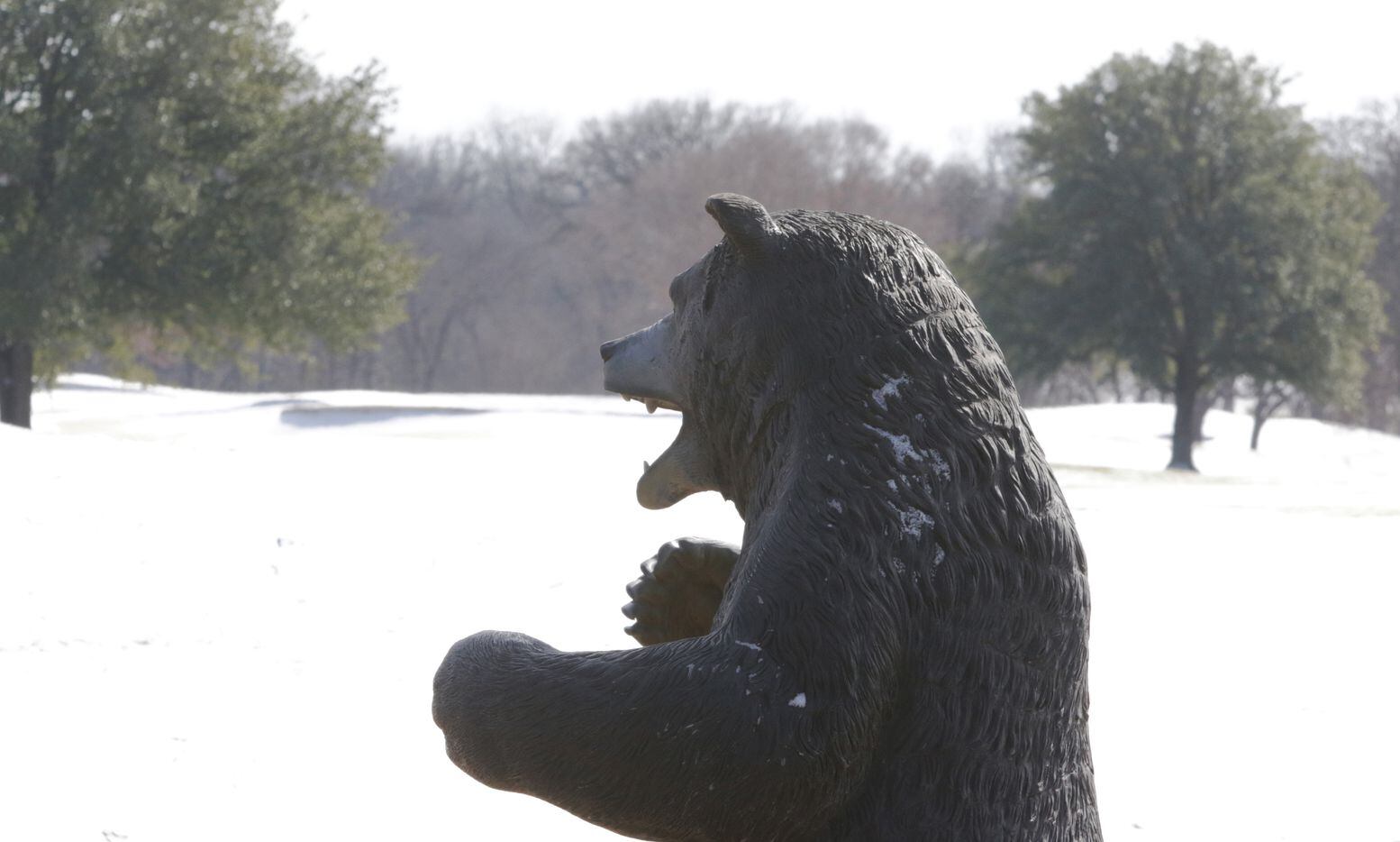 A statue of a bear braves the cold and snowy weather at Bear Creek Golf Club in Dallas,...