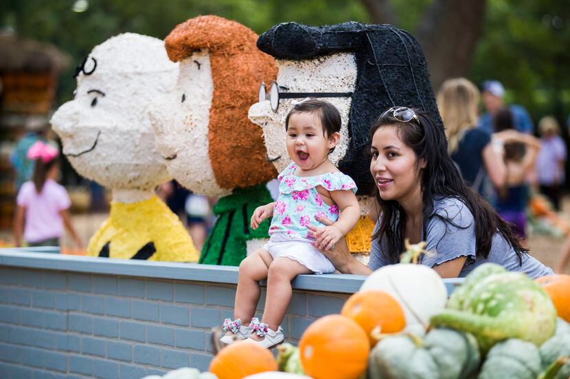El Dallas Arboretum también ofrece actividades para disfrutar en los días previos a Halloween.