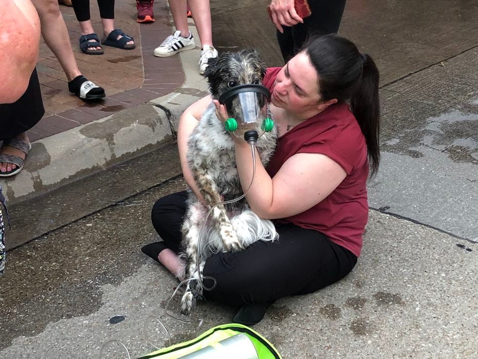 Laura Wadsworth, 31, hugs her dog, Winnie, after firefighters saved the animal during a fire at Cortland Addison Circle apartments Monday, April 12, 2021.