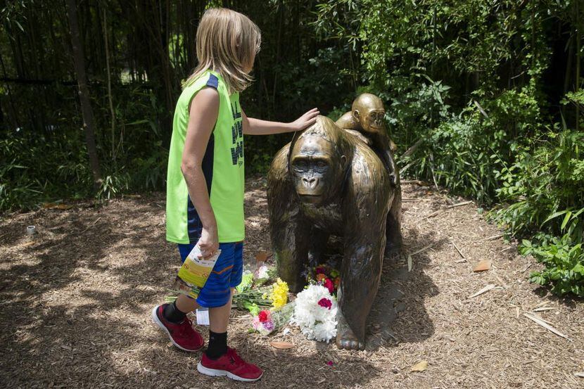 Un niño toca luna estatua de bronze en la exhibición de gorilas en el Cincinnati Zoo &...