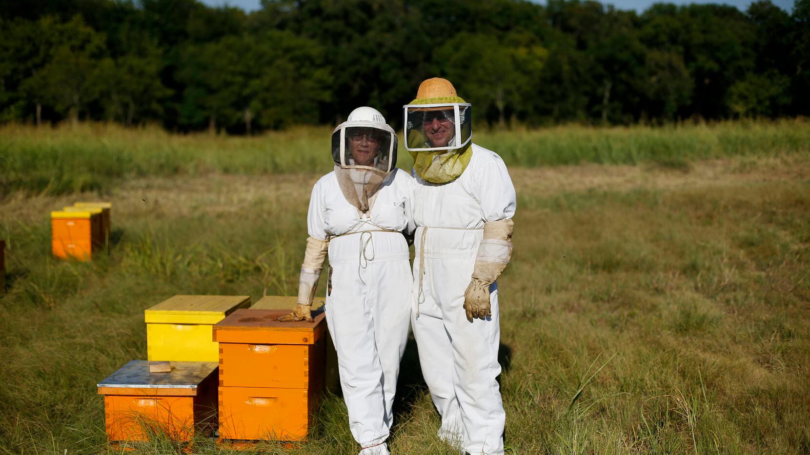 Small honey harvesters see sweet benefit in new beekeeping law