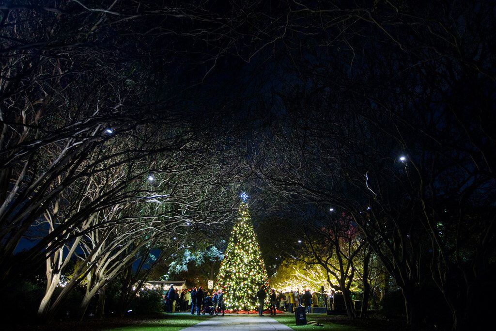 Navidad  en el Dallas Arboretum.