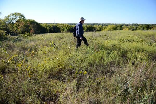 John Lingenfelder, with the Native Plant Society of Texas' Collin County Chapter, walks...
