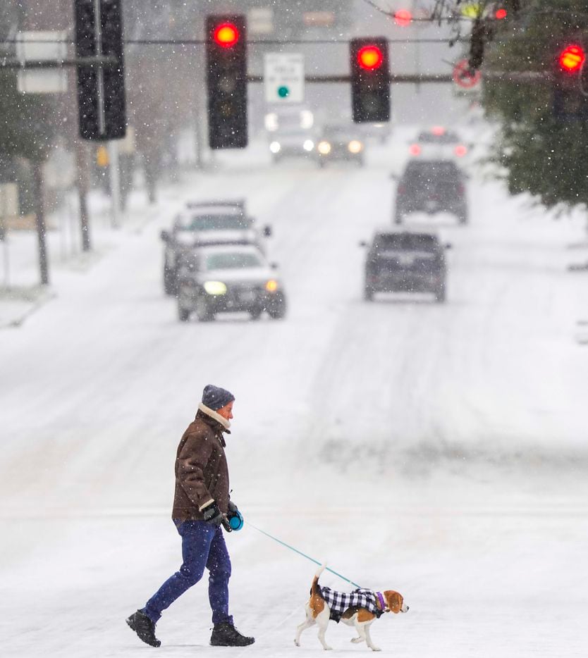 A man walks his dog across Hillcrest near Lovers lane as a winter storm brings snow and freezing temperatures to North Texas on Sunday, Feb. 14, 2021, in University Park.  A winter storm watch has been issued for all of North Texas, including Dallas, Denton, Collin and Tarrant counties and will be in effect from late Saturday through Monday afternoon.