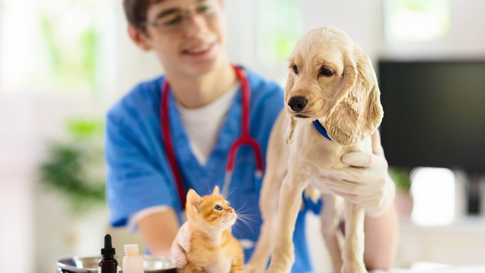 SPCA de Texas aplicará vacunas a perros y gatos a un bajo costo, en su unidad móvil que...