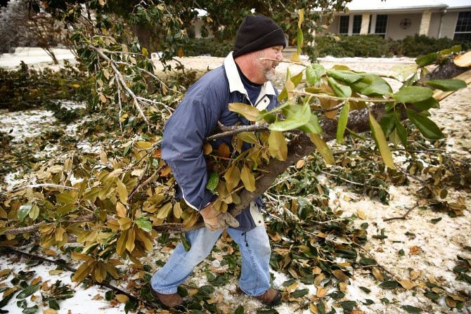 Steve Cole removed broken magnolia tree branches from his front yard on Saturday.