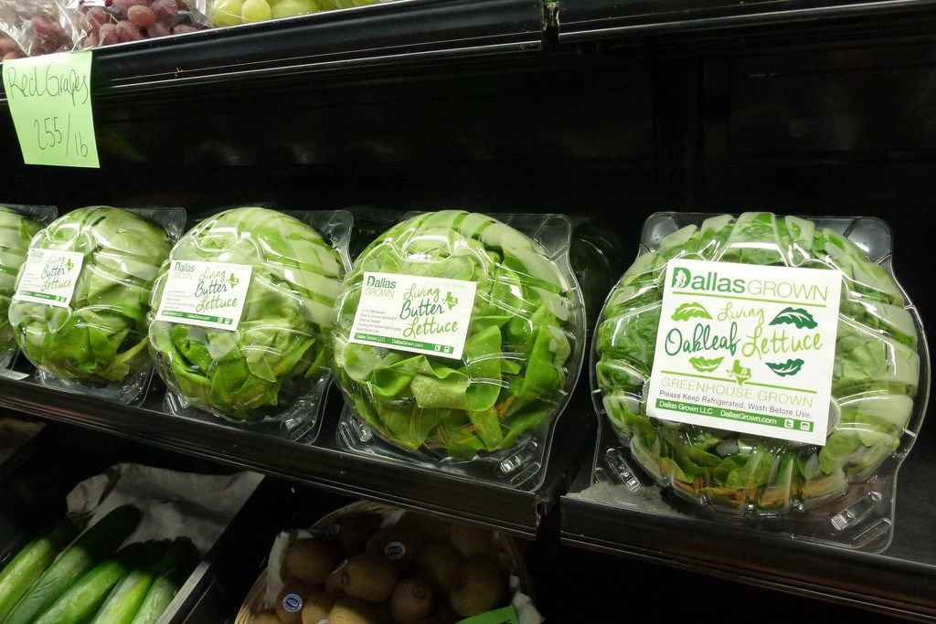 Ruibal's Rosemeade Market gets its hydroponically grown living lettuces and greens from...
