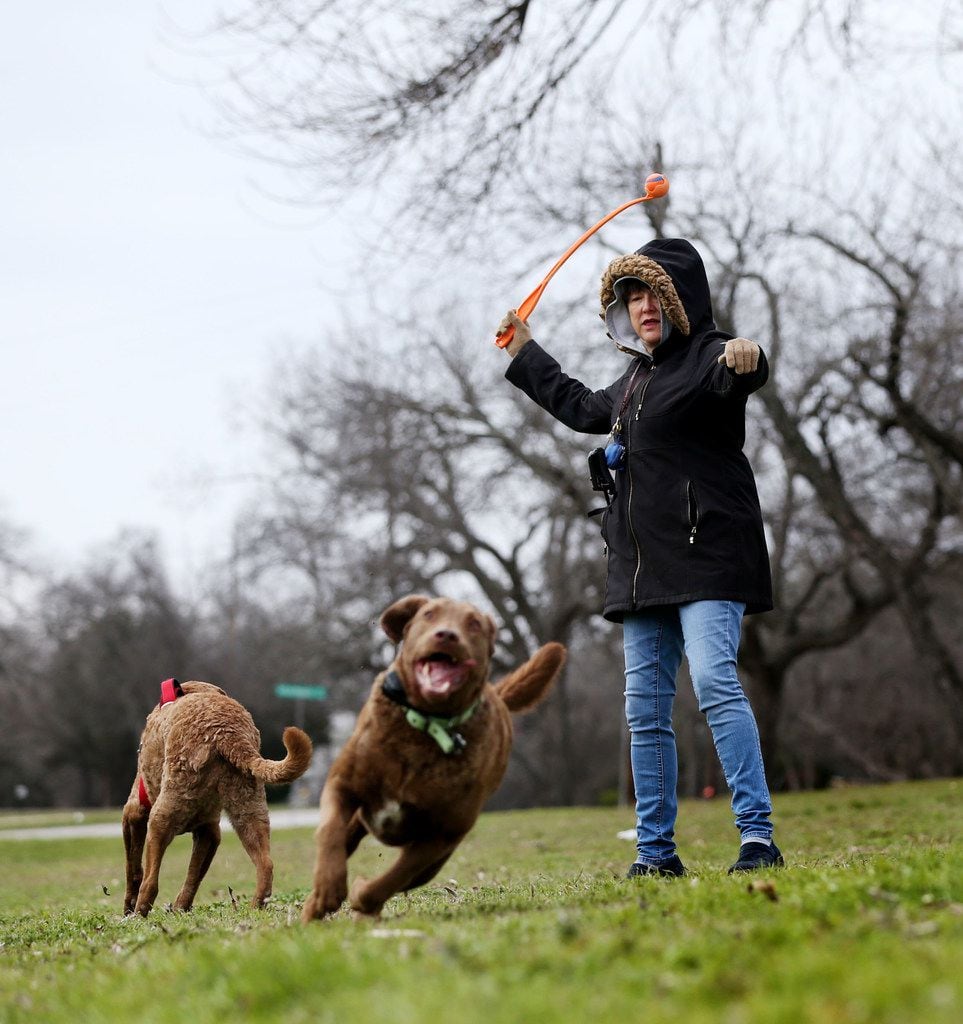 Melanie Wisniewski played fetch with her dogs, Nibbles (right) and Cassia, in 24-degree weather in East Dallas on the morning of March 4, 2019.