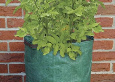 Grow Bags, Planters & Pottery > Bosmere Potato Grow Bag - The