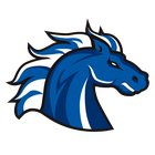 Stallions Logo
