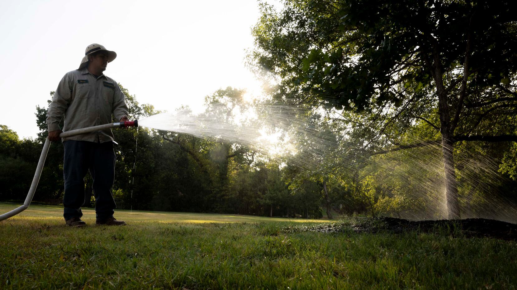 Ruben De Lara, forestry worker with the City of Dallas Park and Recreation department,...