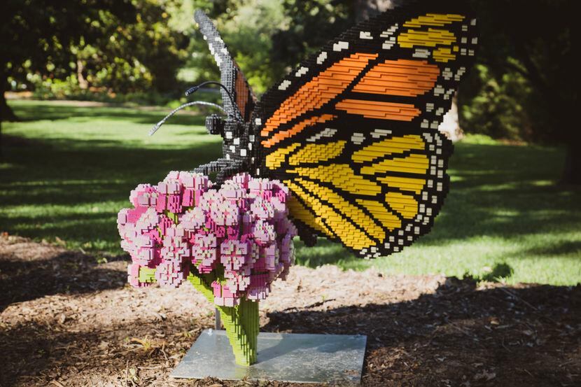 El jardín botánico de Fort Worth invita a las familias a celebrar y aprender de la migración...