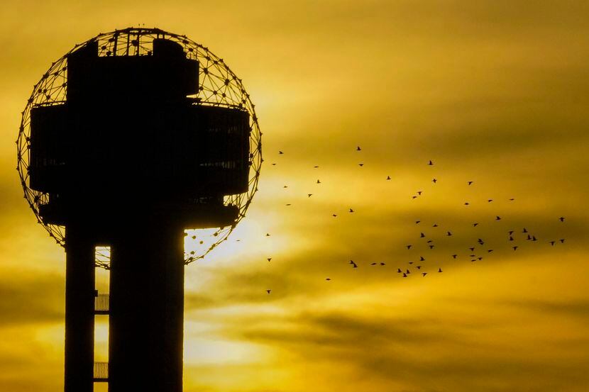 The sun sets as a flock of birds flies past Reunion Tower on June 30, 2020, in Dallas.