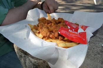 fried alligator