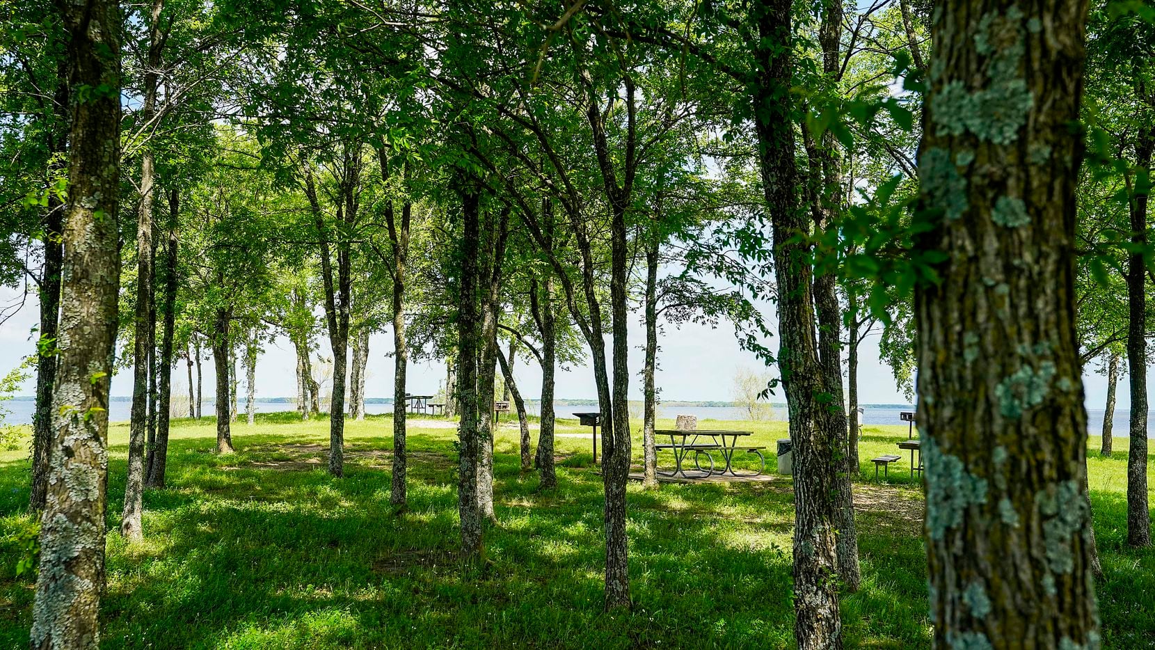 A picnic area is seen at Lake Tawakoni State Park on Tuesday, April 7, 2020, in Wills Point,...