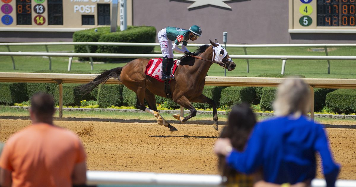 Lone Star Park in Grand Prairie now allows spectators to watch its live