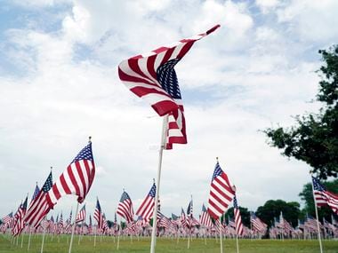 At Veterans Park in Arlington, over 911 flags have been planted to create a Field of Honor that pays respects to the lives lost on Sept. 11, 2001. (Lawrence Jenkins/Special Contributor)