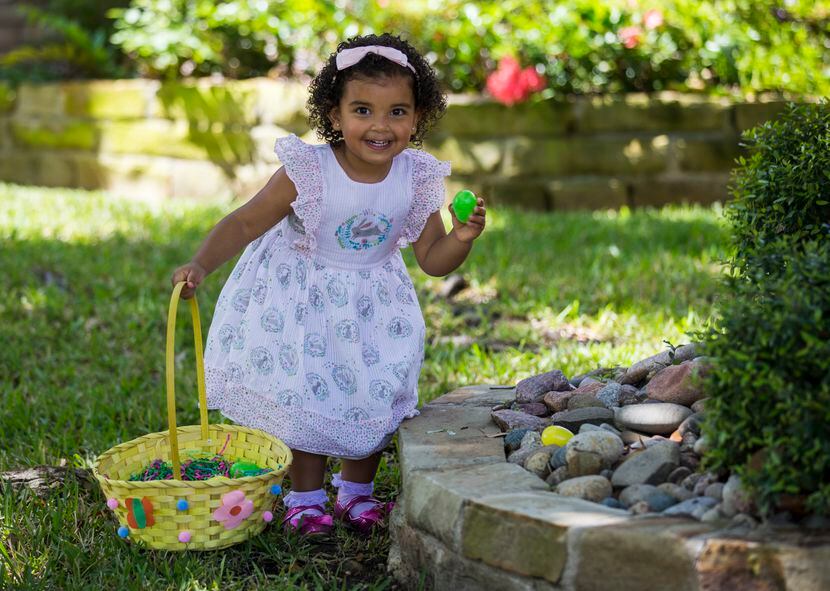 Gracie Mullen, 2, hunts for Easter eggs in her front yard on Sunday in Irving. Her parents...