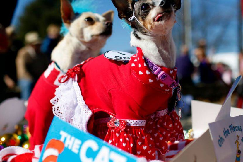 Tegan and Roger depict Dr. Seuss during the 14th annual Krewe of Barkus parade in downtown...