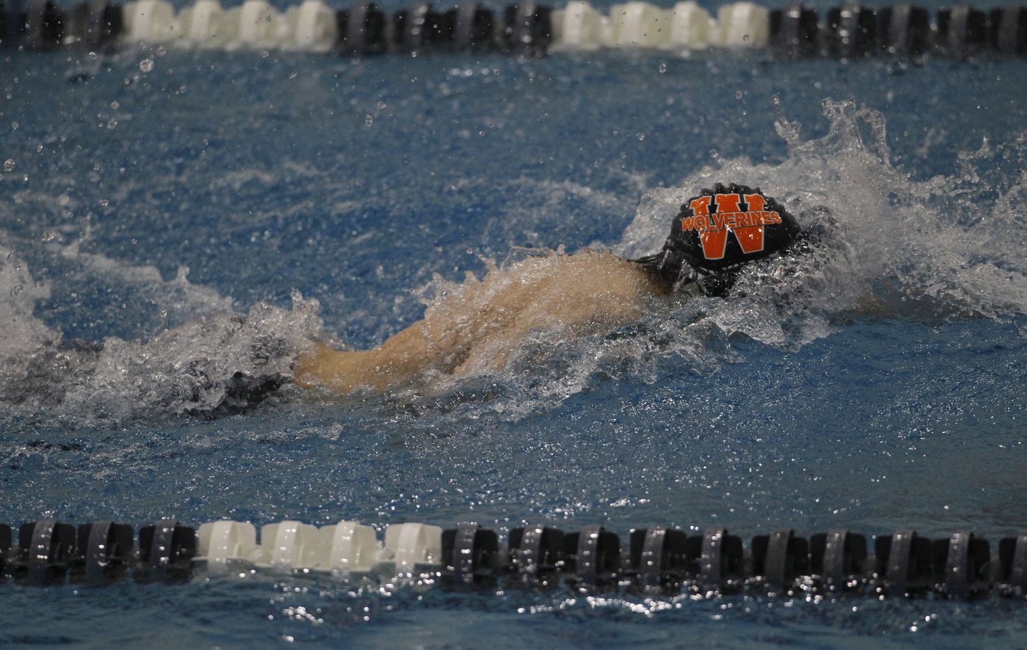 Uil Regional Swimming And Diving Results See Which Dallas Area Teams