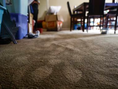 Soaked carpet at Michael and Latanya Benefield’s apartment in Spring Oaks Apartments in...