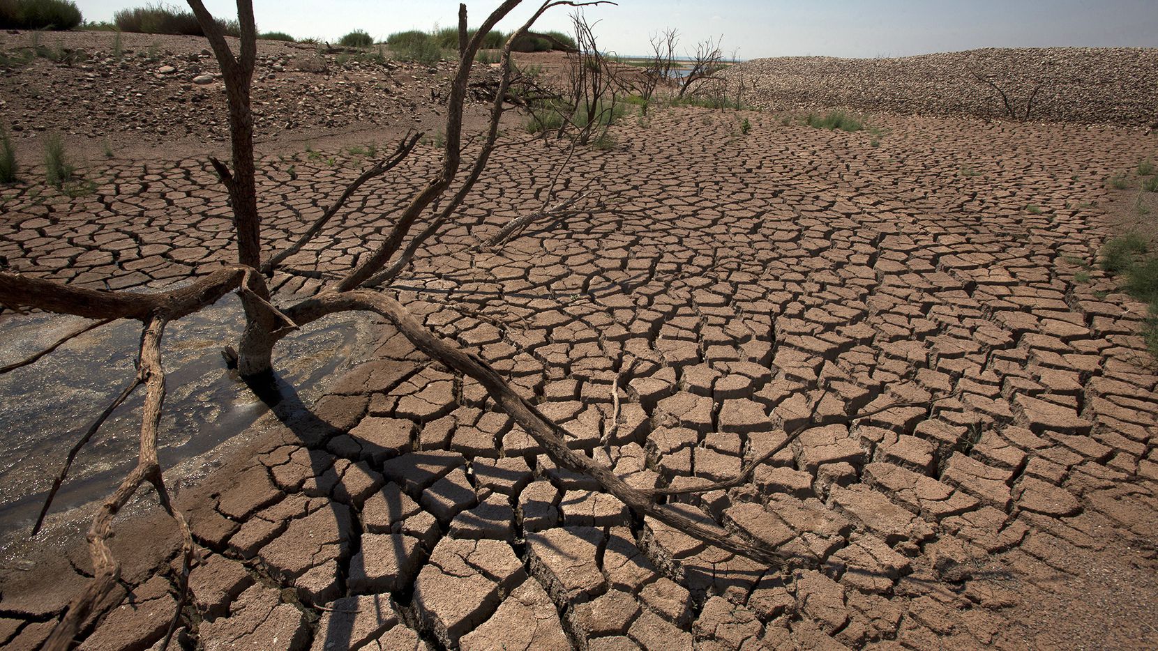 Study predicts more extreme weather like 2011 Texas drought, thanks to  global warming