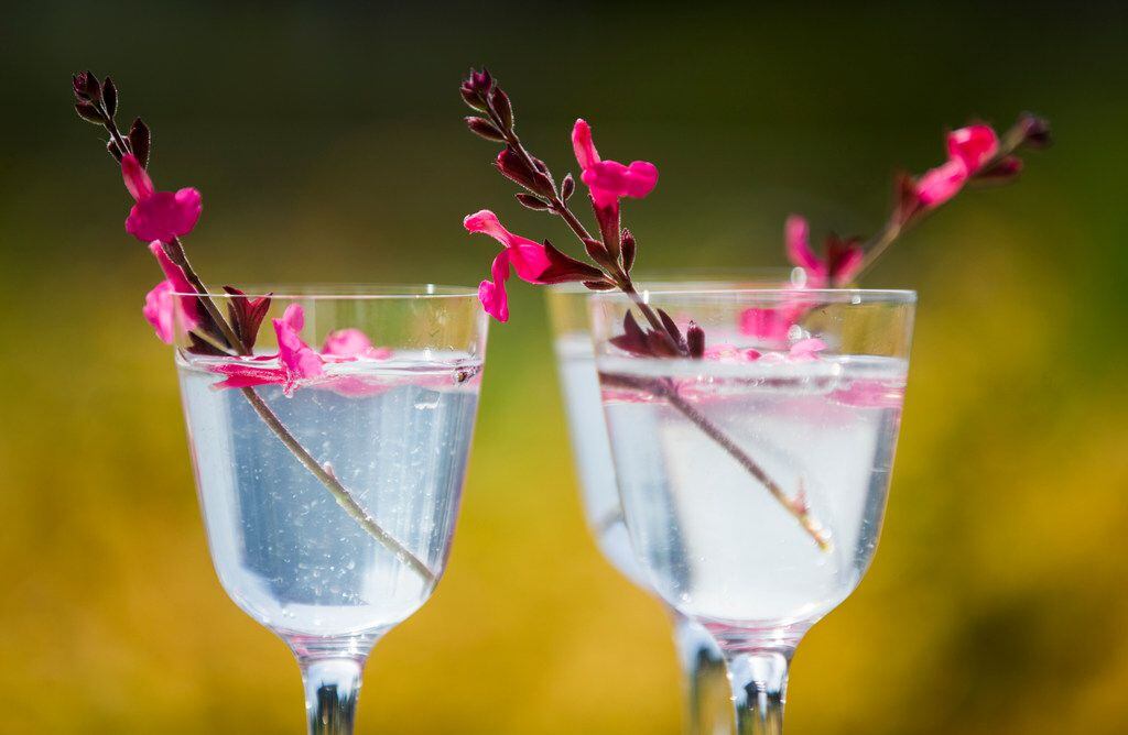 Consume The Blooms: Using Edible Flowers In Cocktails - Blooms Social