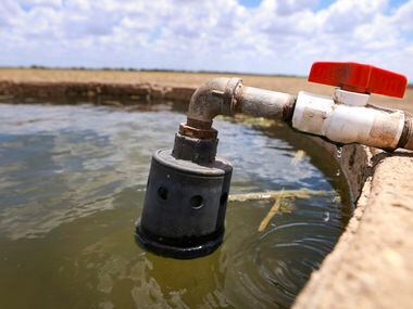 Water for cattle fills up a trough on Russell Boening’s ranch, Monday, August 8, 2022, in...