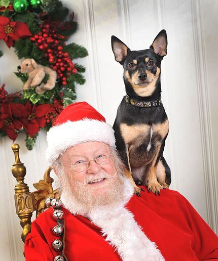 Pets can visit Santa at the Greyhound Adoption League of Texas' annual GreytStore Holiday...